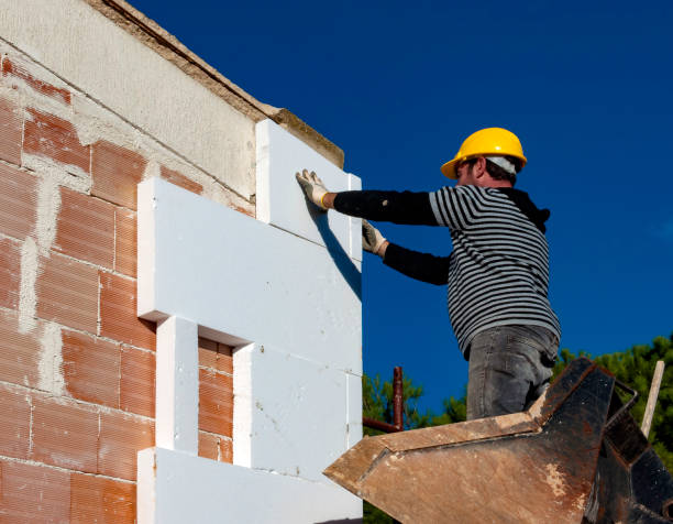 Best Insulation Removal  in Mogadore, OH